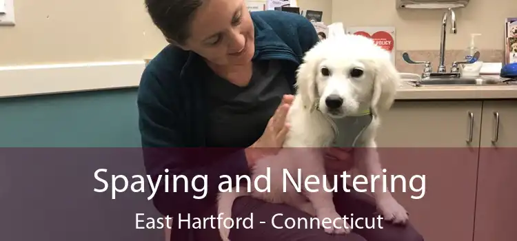 Spaying and Neutering East Hartford - Connecticut