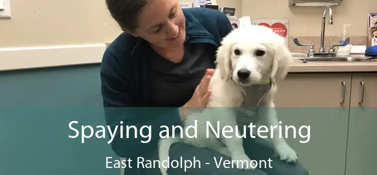 Spaying and Neutering East Randolph - Vermont