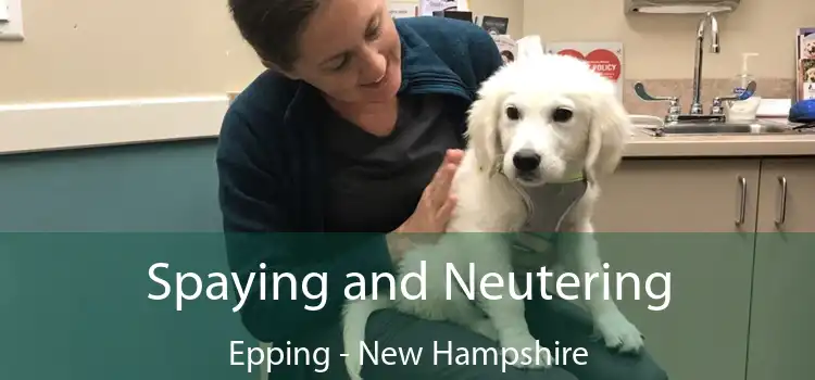 Spaying and Neutering Epping - New Hampshire