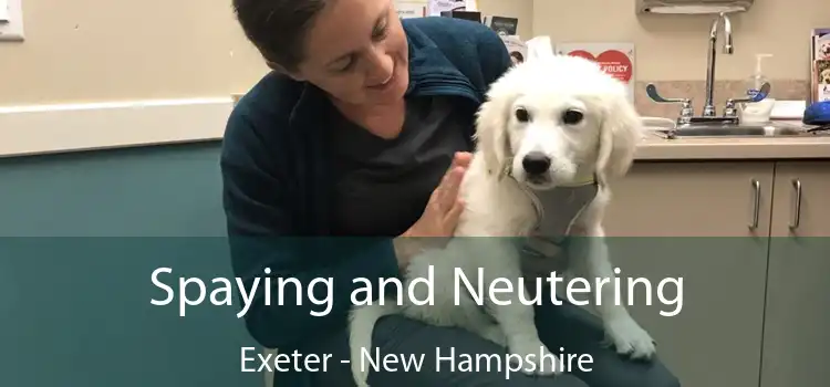 Spaying and Neutering Exeter - New Hampshire