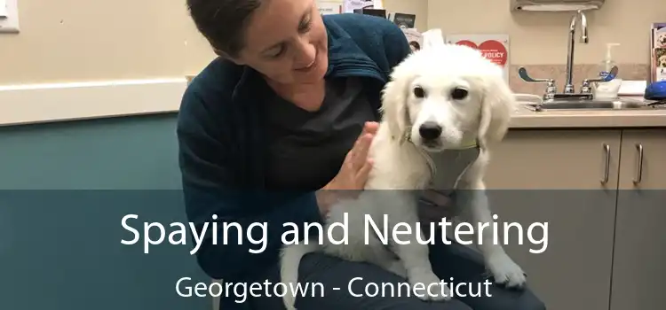 Spaying and Neutering Georgetown - Connecticut