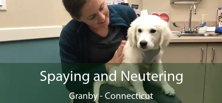 Spaying and Neutering Granby - Connecticut