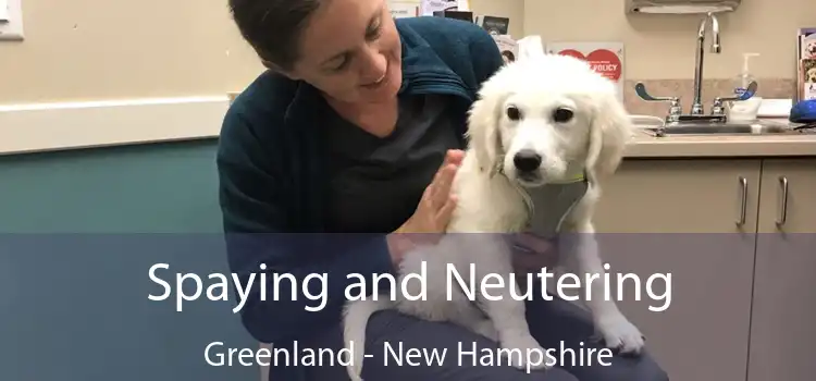 Spaying and Neutering Greenland - New Hampshire