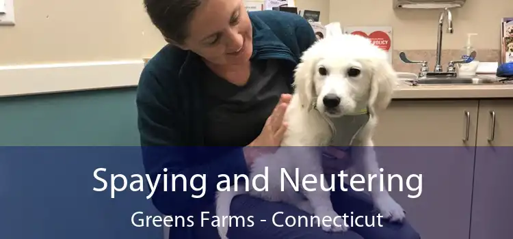 Spaying and Neutering Greens Farms - Connecticut