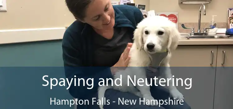 Spaying and Neutering Hampton Falls - New Hampshire