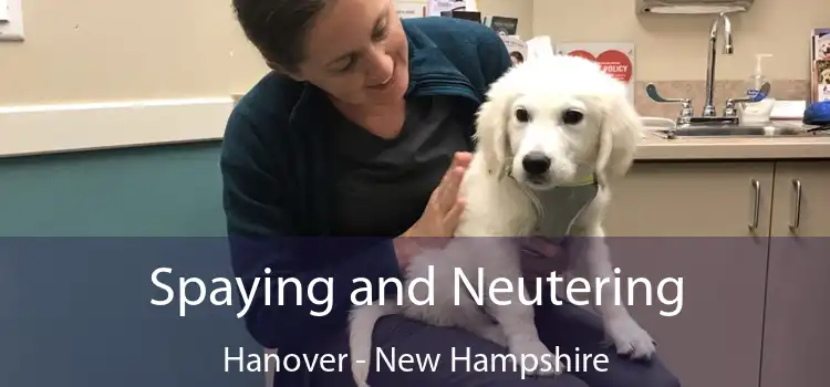 Spaying and Neutering Hanover - New Hampshire