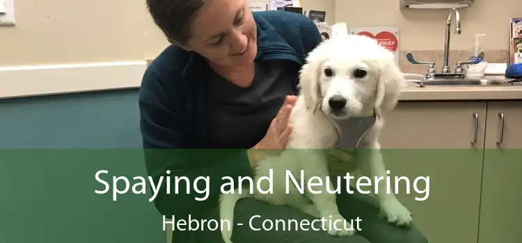 Spaying and Neutering Hebron - Connecticut