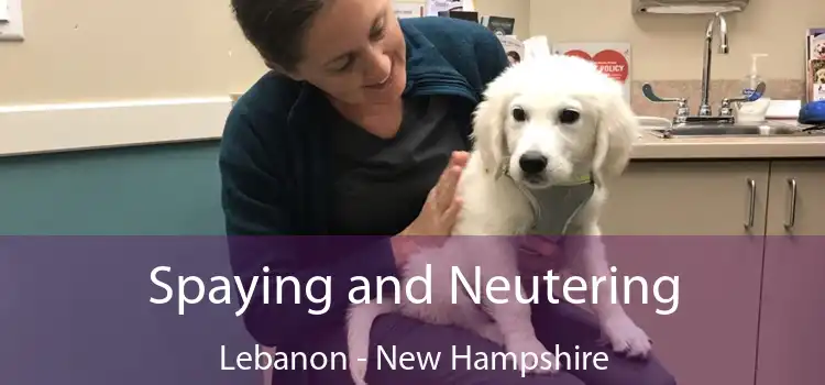 Spaying and Neutering Lebanon - New Hampshire