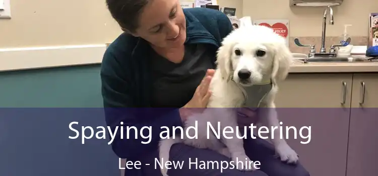 Spaying and Neutering Lee - New Hampshire