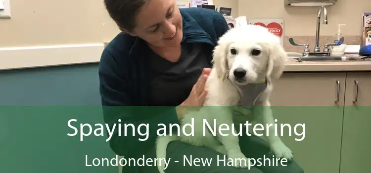 Spaying and Neutering Londonderry - New Hampshire