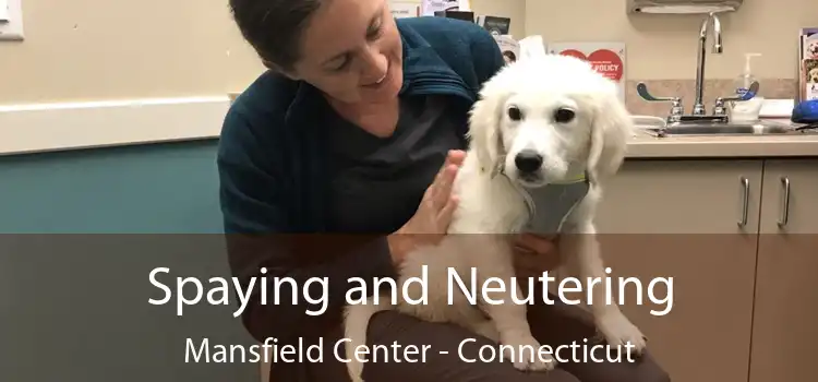 Spaying and Neutering Mansfield Center - Connecticut