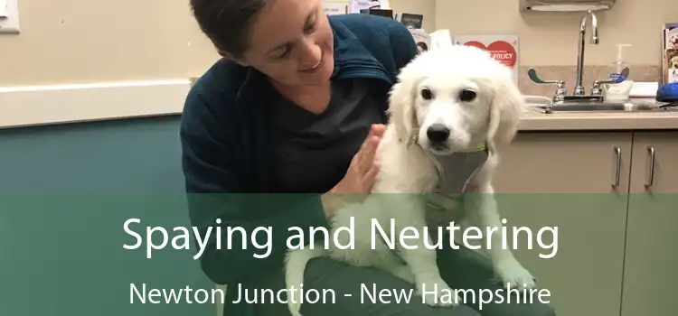 Spaying and Neutering Newton Junction - New Hampshire