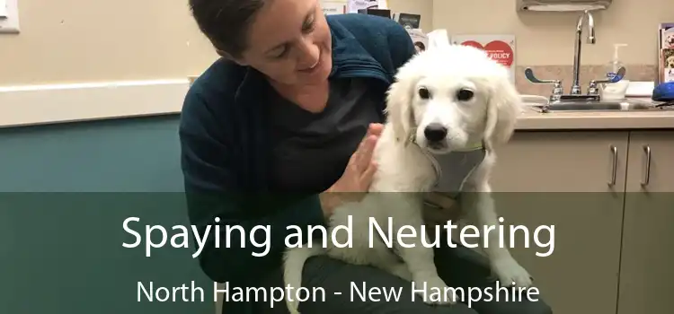 Spaying and Neutering North Hampton - New Hampshire