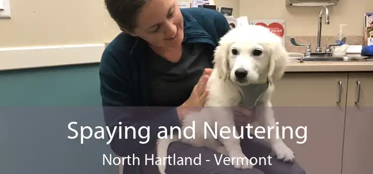 Spaying and Neutering North Hartland - Vermont