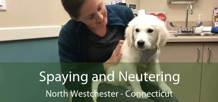 Spaying and Neutering North Westchester - Connecticut