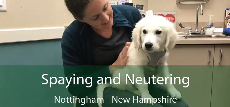 Spaying and Neutering Nottingham - New Hampshire