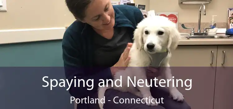 Spaying and Neutering Portland - Connecticut