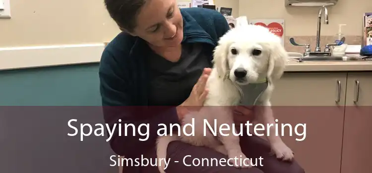 Spaying and Neutering Simsbury - Connecticut