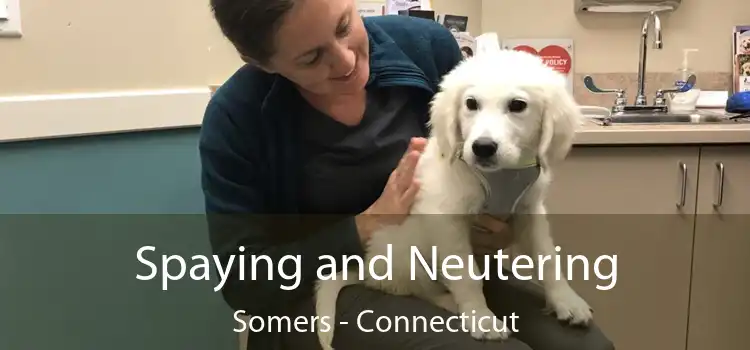 Spaying and Neutering Somers - Connecticut