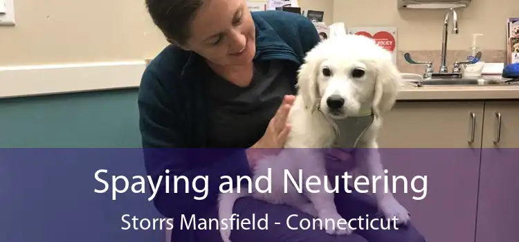 Spaying and Neutering Storrs Mansfield - Connecticut