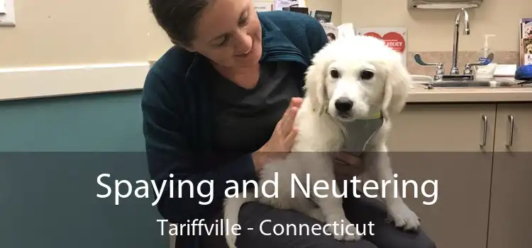 Spaying and Neutering Tariffville - Connecticut