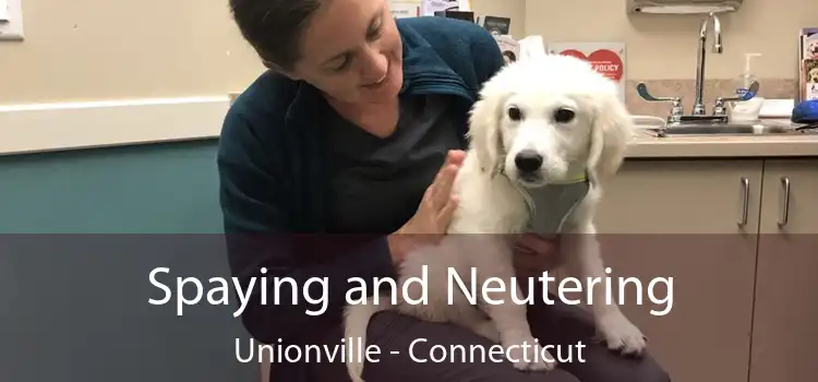 Spaying and Neutering Unionville - Connecticut