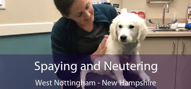 Spaying and Neutering West Nottingham - New Hampshire