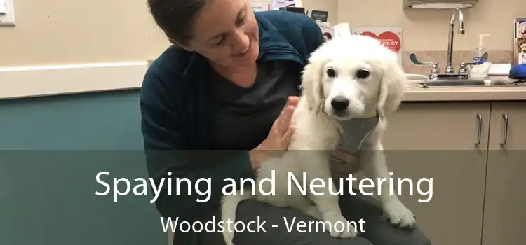 Spaying and Neutering Woodstock - Vermont