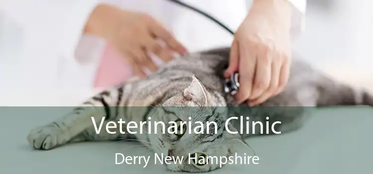 Veterinarian Clinic Derry New Hampshire