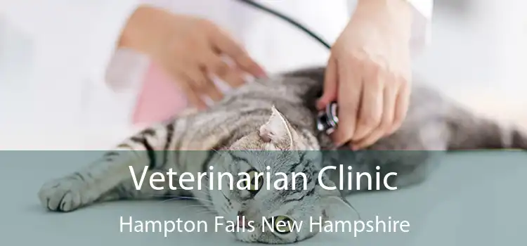 Veterinarian Clinic Hampton Falls New Hampshire