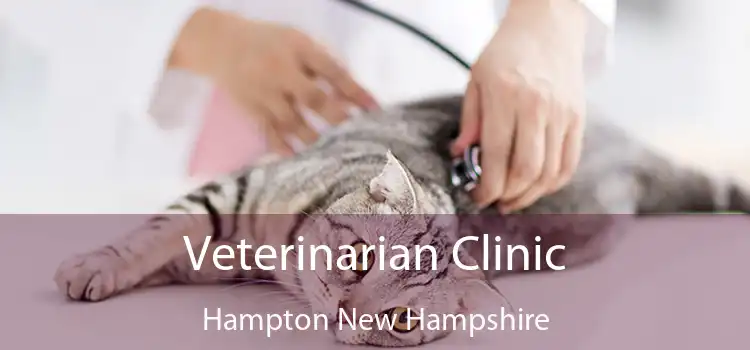 Veterinarian Clinic Hampton New Hampshire