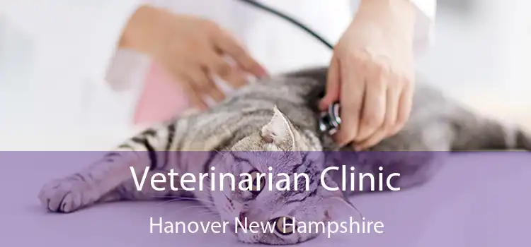 Veterinarian Clinic Hanover New Hampshire