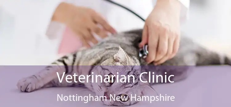 Veterinarian Clinic Nottingham New Hampshire