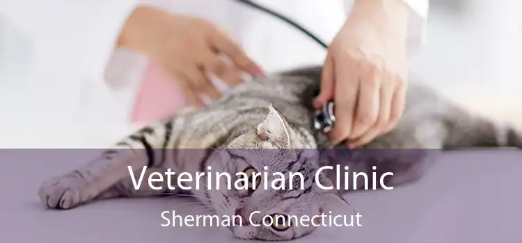 Veterinarian Clinic Sherman Connecticut