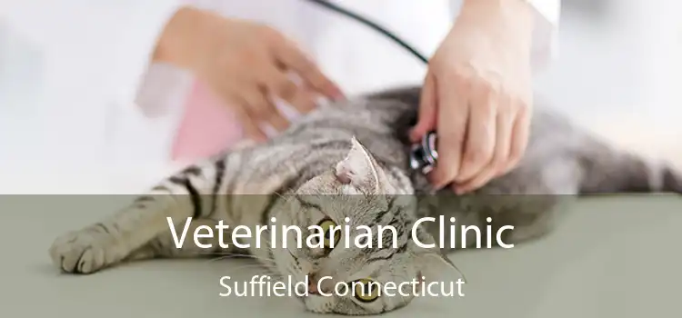 Veterinarian Clinic Suffield Connecticut