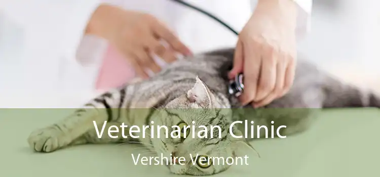 Veterinarian Clinic Vershire Vermont