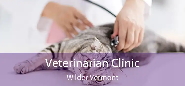 Veterinarian Clinic Wilder Vermont