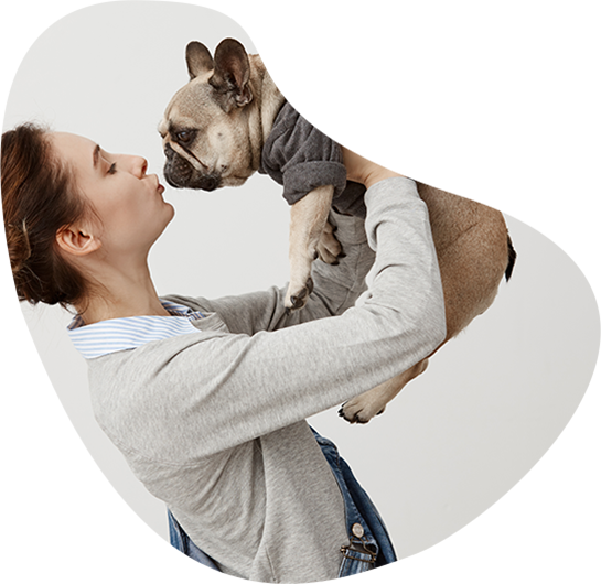 best Middle Haddam veterinarian clinic